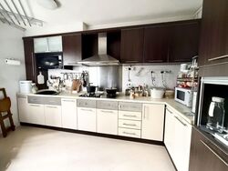 Blk 290B Compassvale Lodge (Sengkang), HDB 5 Rooms #580816321